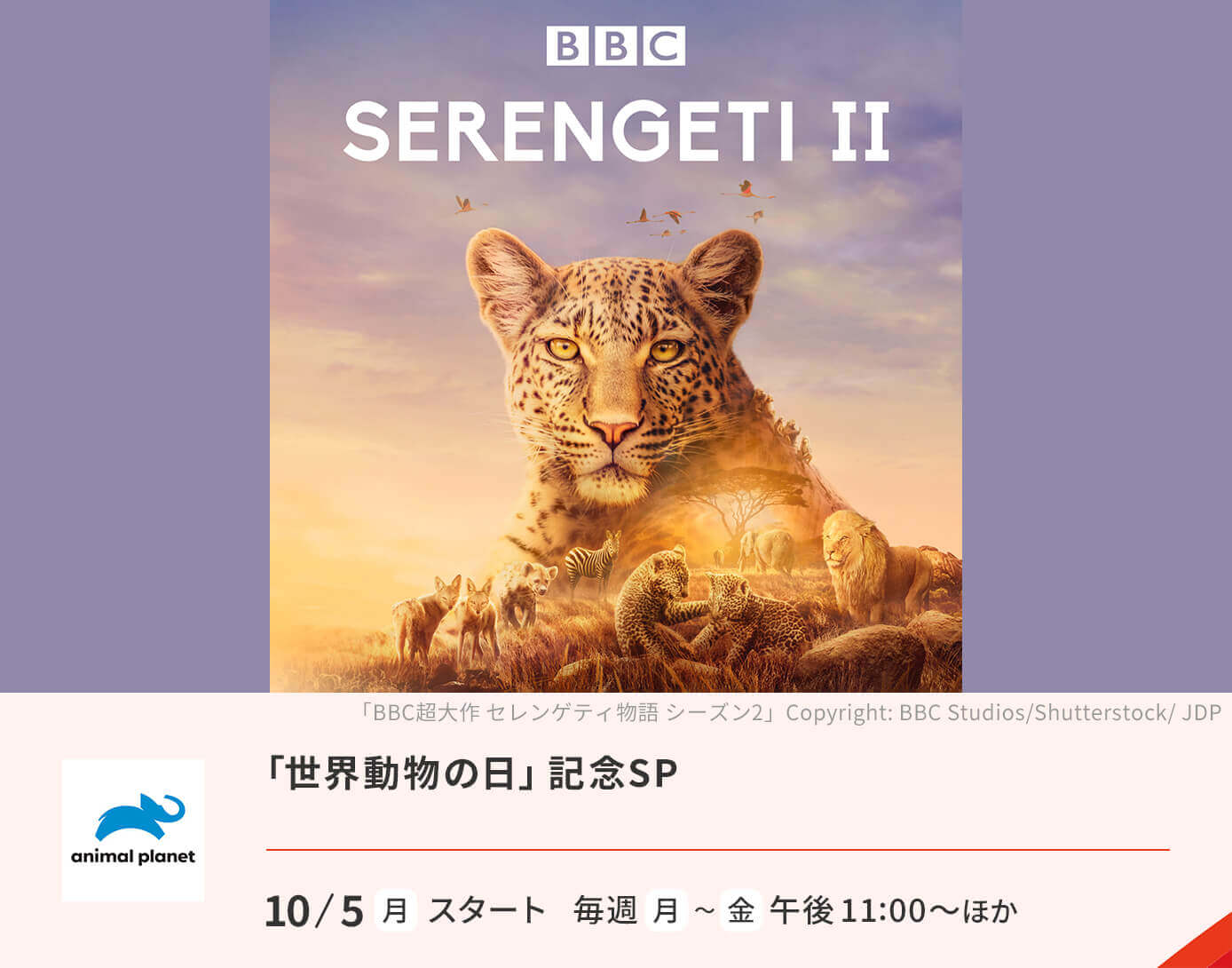 「世界動物の日」記念SP