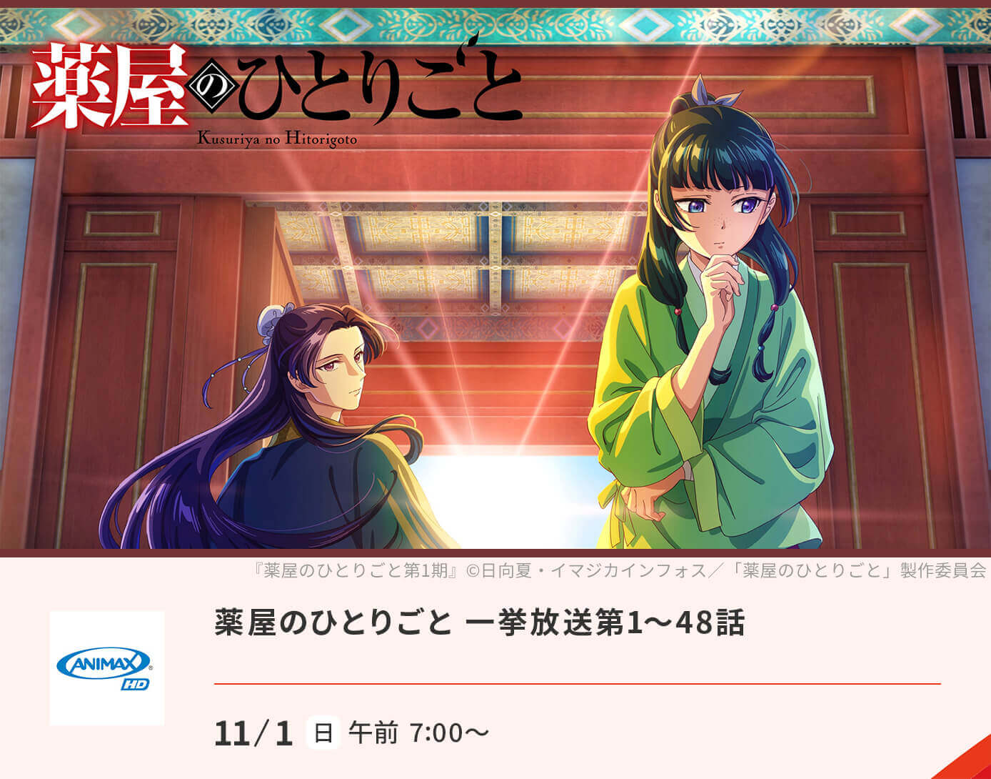 薬屋のひとりごと 一挙放送第1～48話
