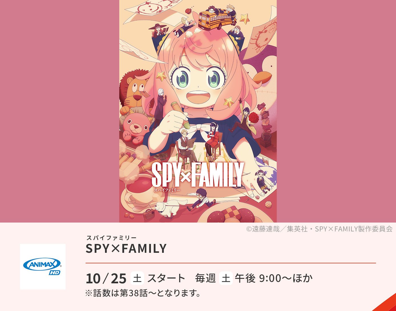 SPY×FAMILY（スパイファミリー）　※#38～