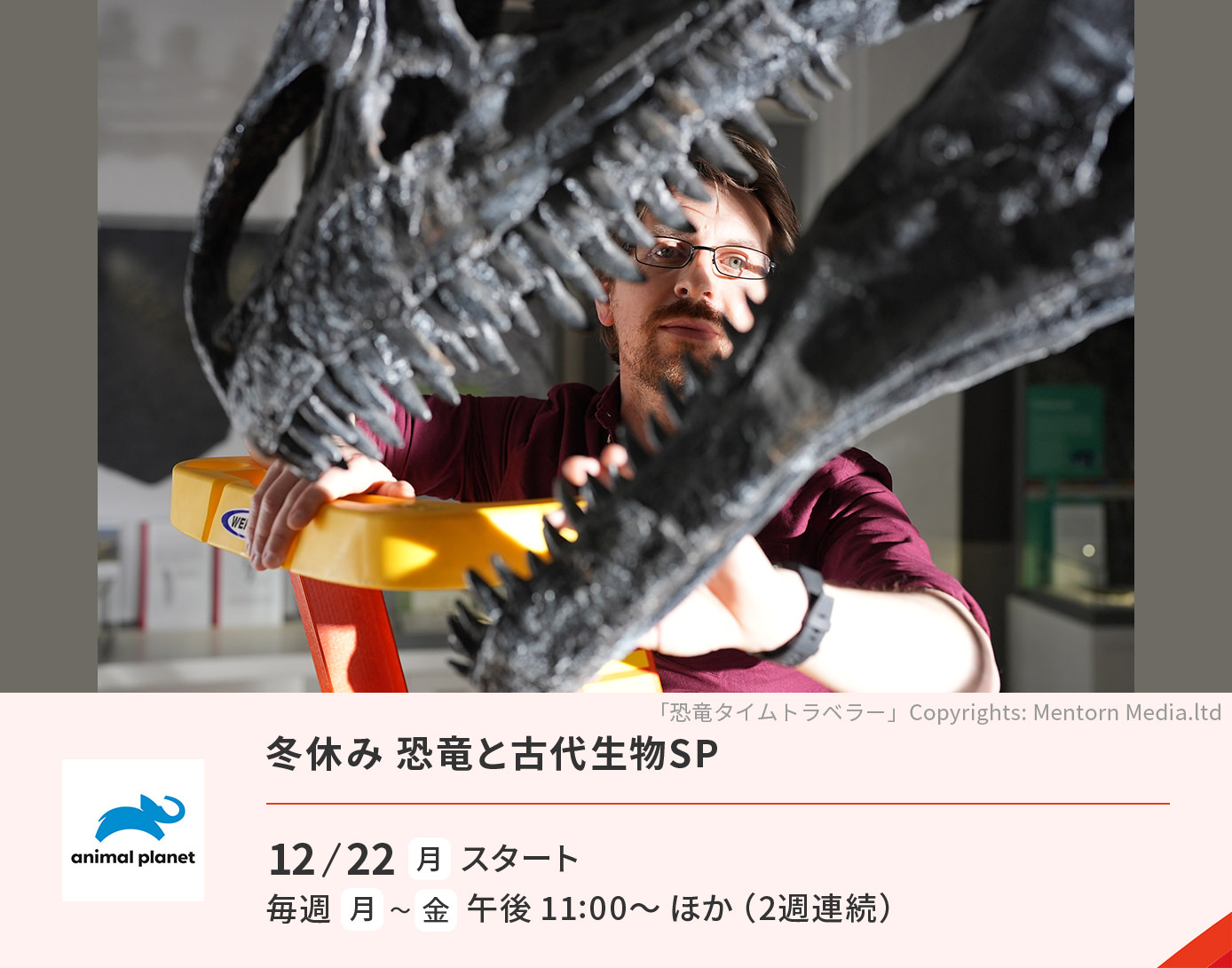 冬休み 恐竜と古代生物SP