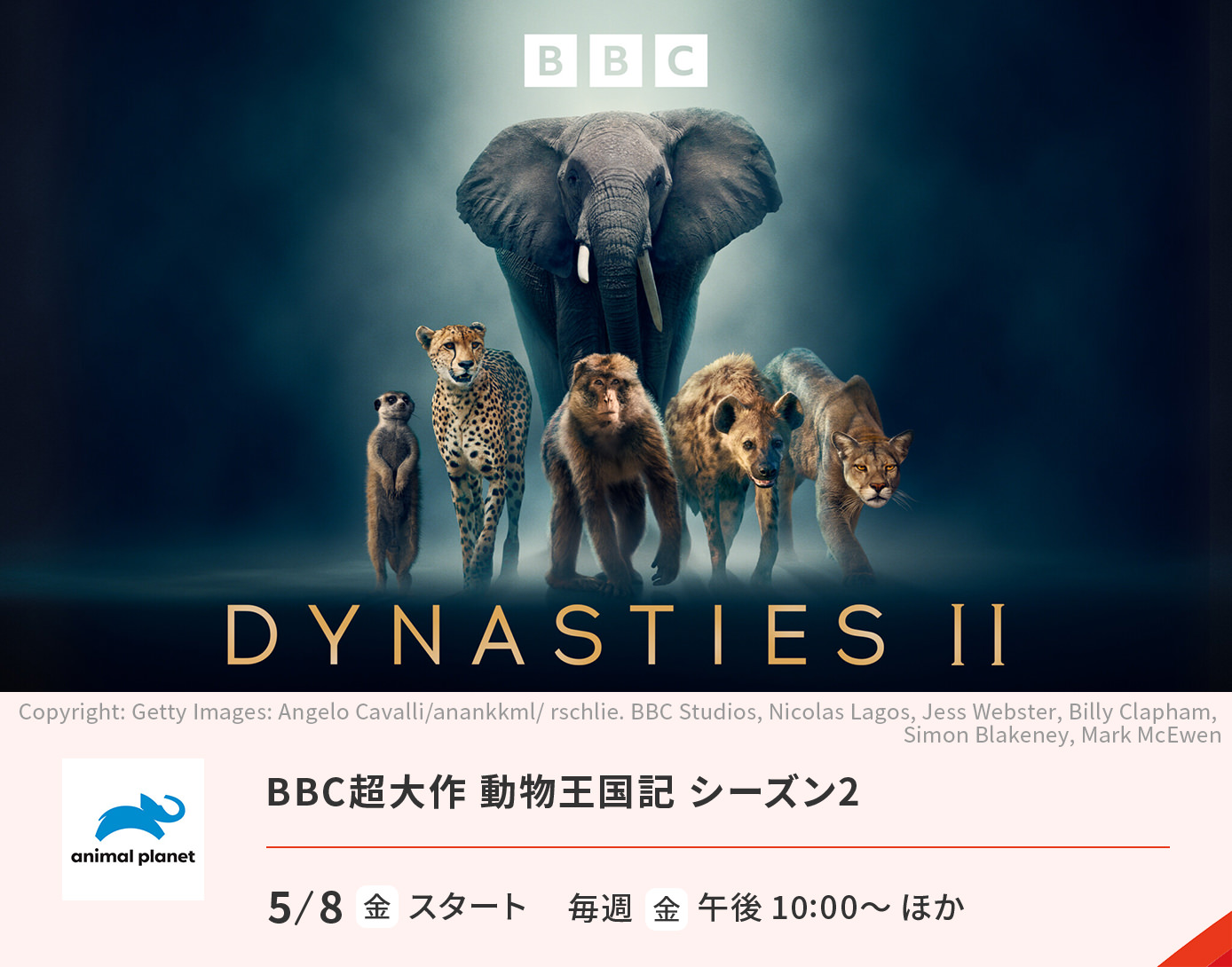 BBC超大作 動物王国記 シーズン2