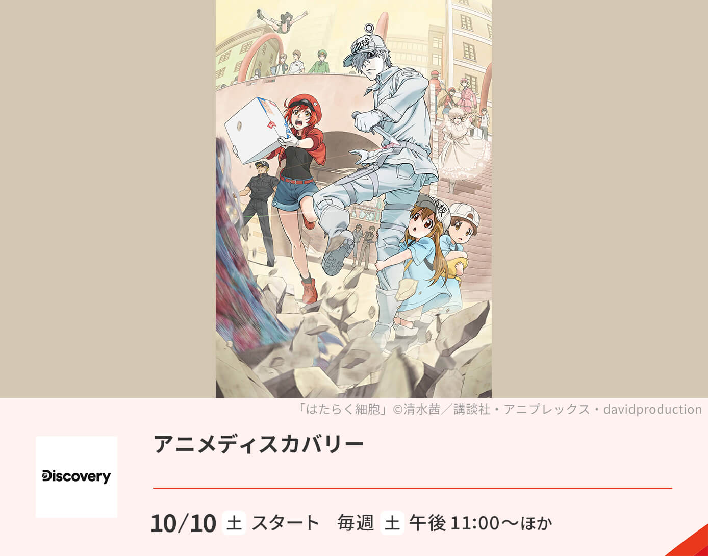 アニメディスカバリー