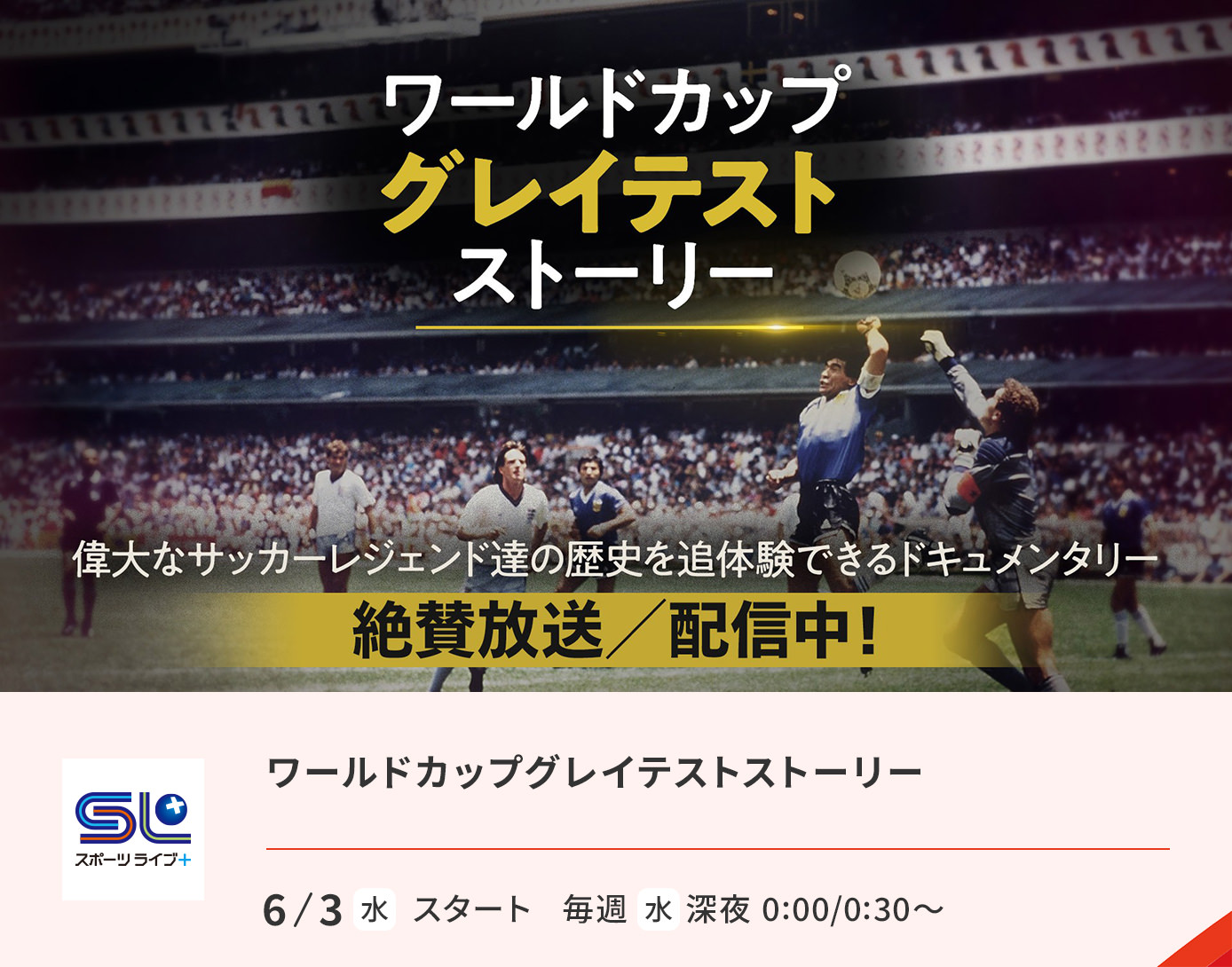 ワールドカップグレイテストストーリー