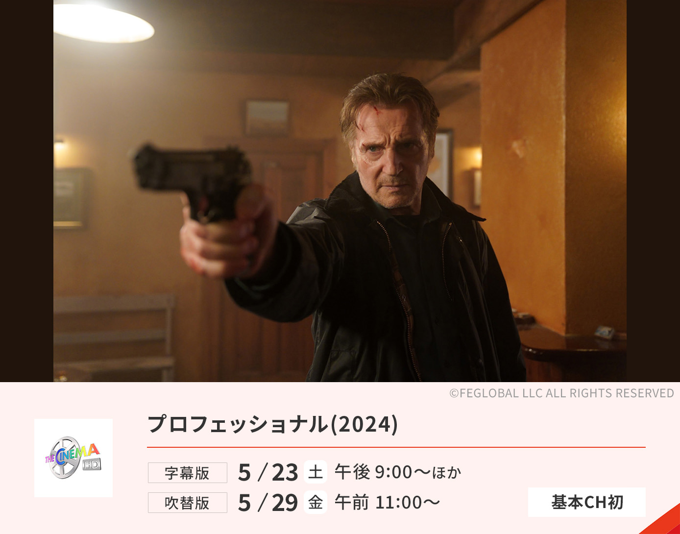 プロフェッショナル(2024)