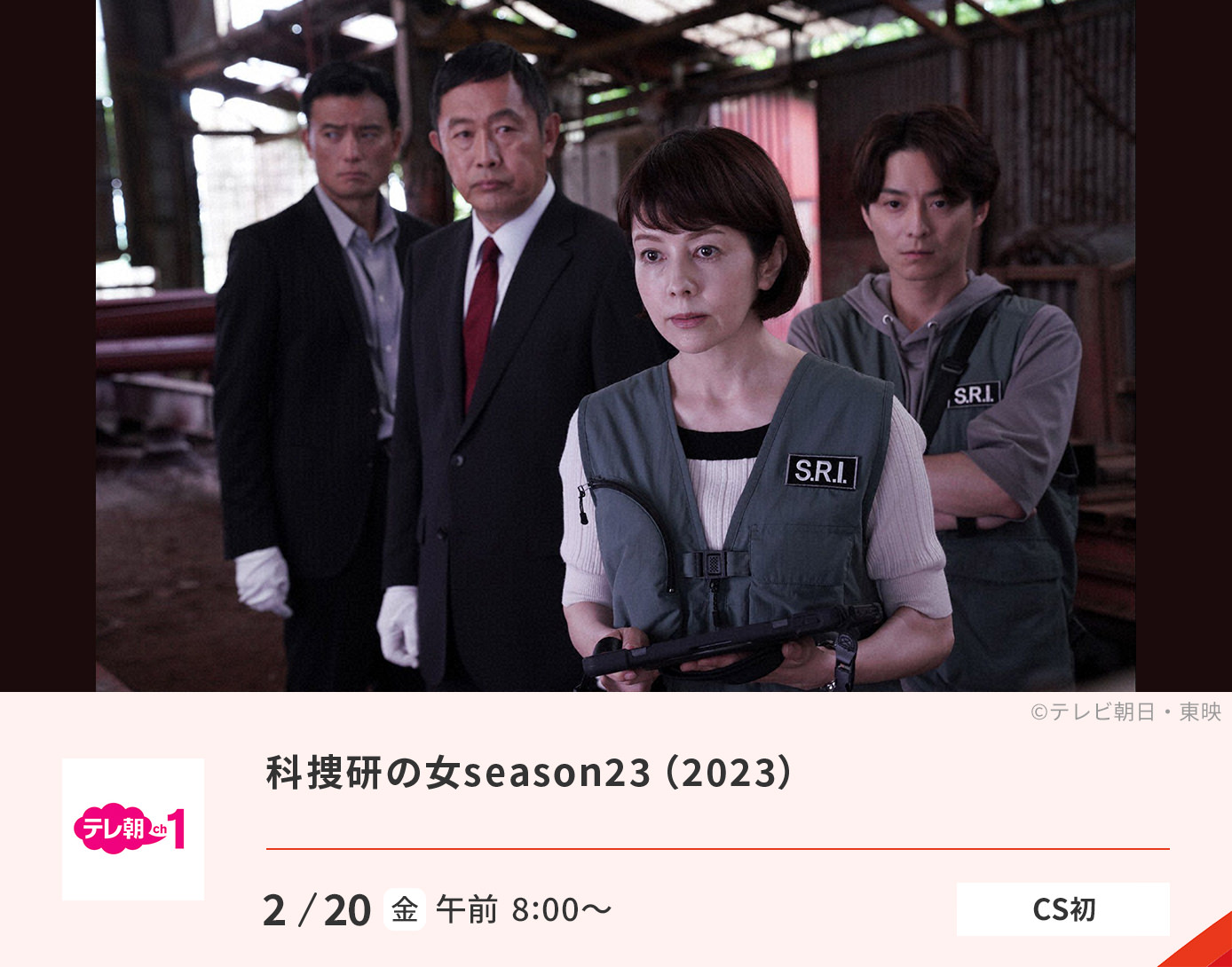 科捜研の女season23（2023）　