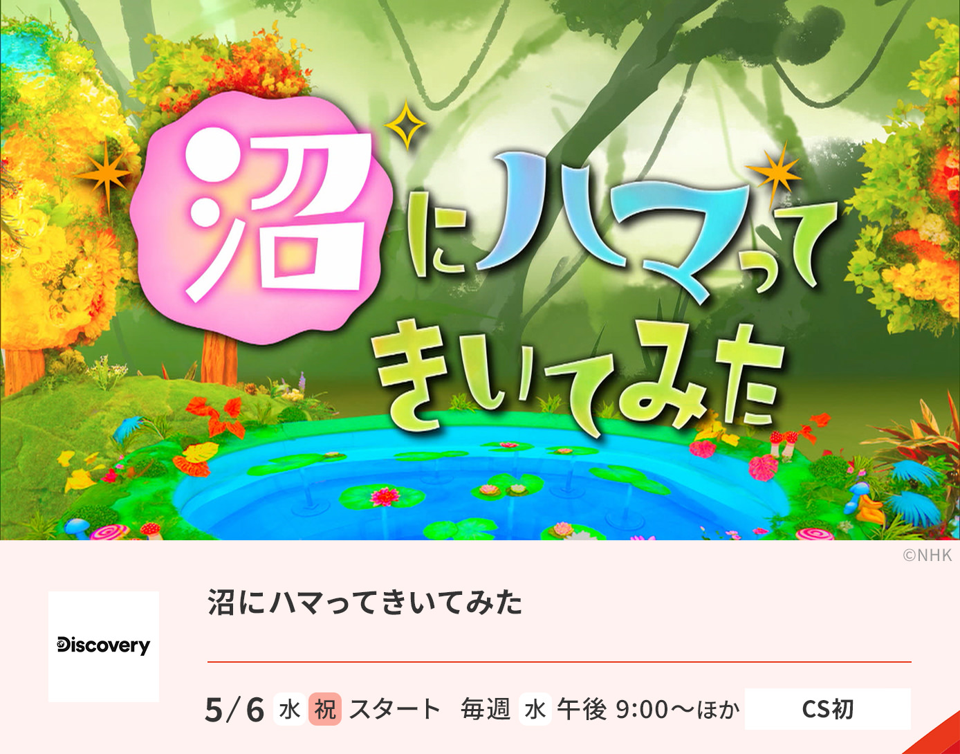 沼にハマってきいてみた