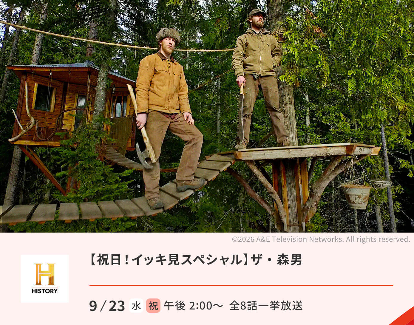 【祝日！イッキ見スペシャル】ザ・森男