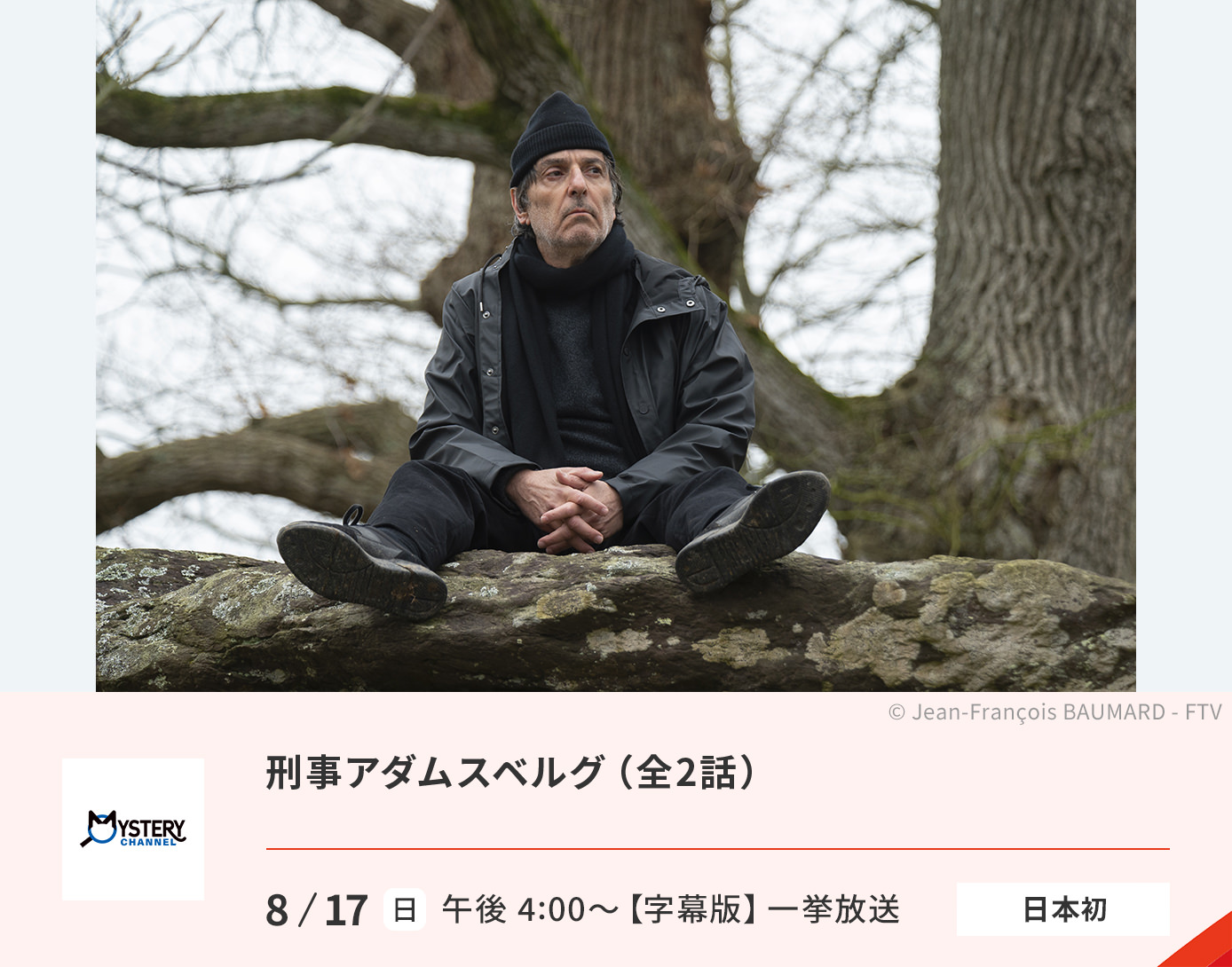 刑事アダムスベルグ（（全2話）