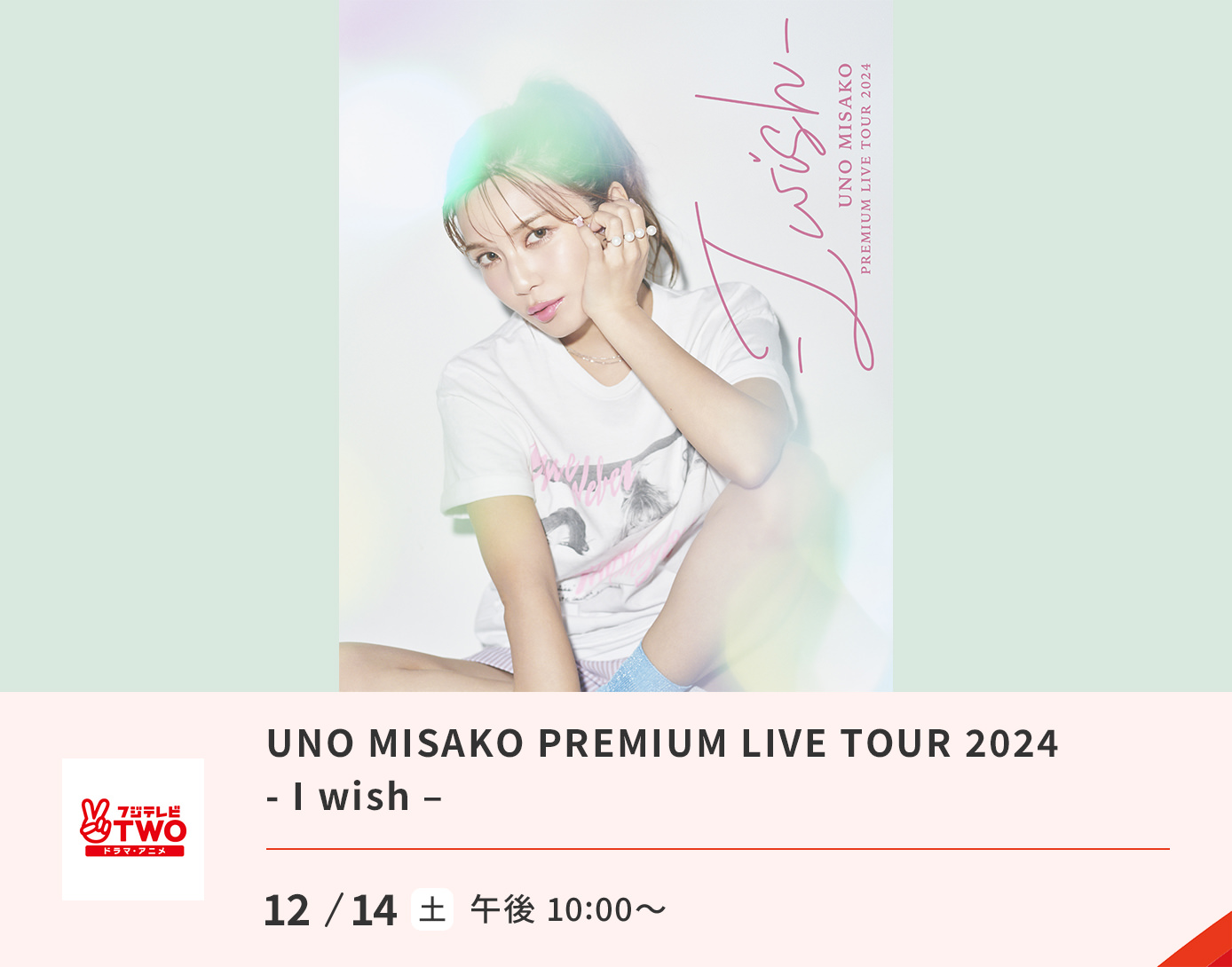 UNO MISAKO PREMIUM LIVE TOUR 2024 - I wish -