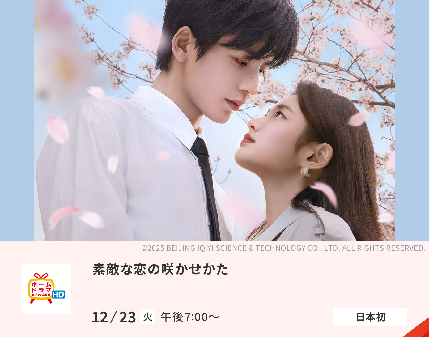 素敵な恋の咲かせ方