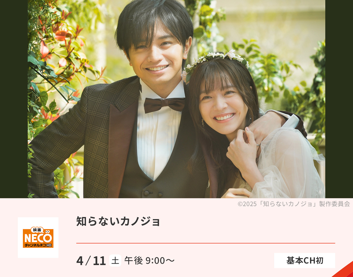 知らないカノジョ