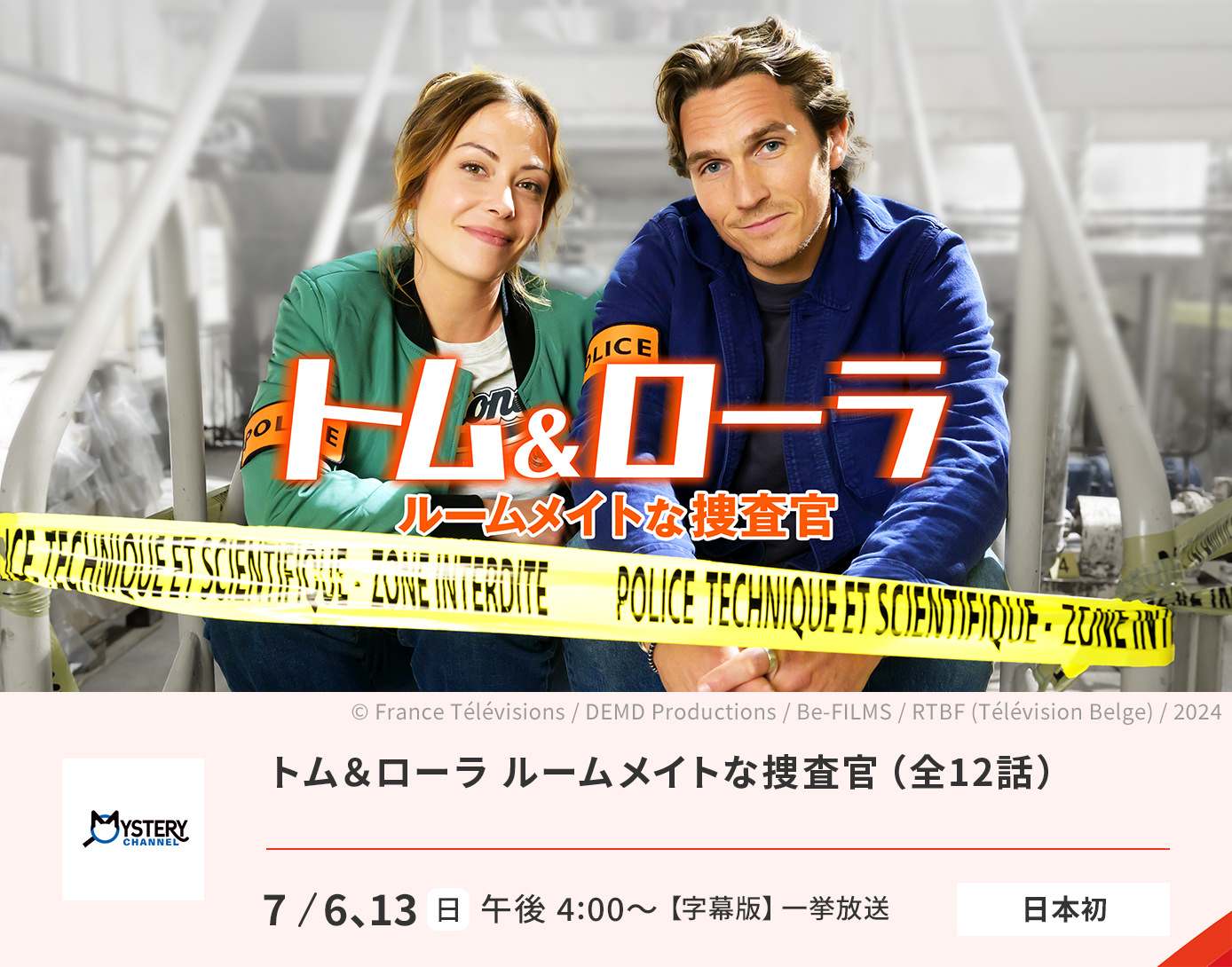 トム＆ローラ ルームメイトな捜査官（全12話）