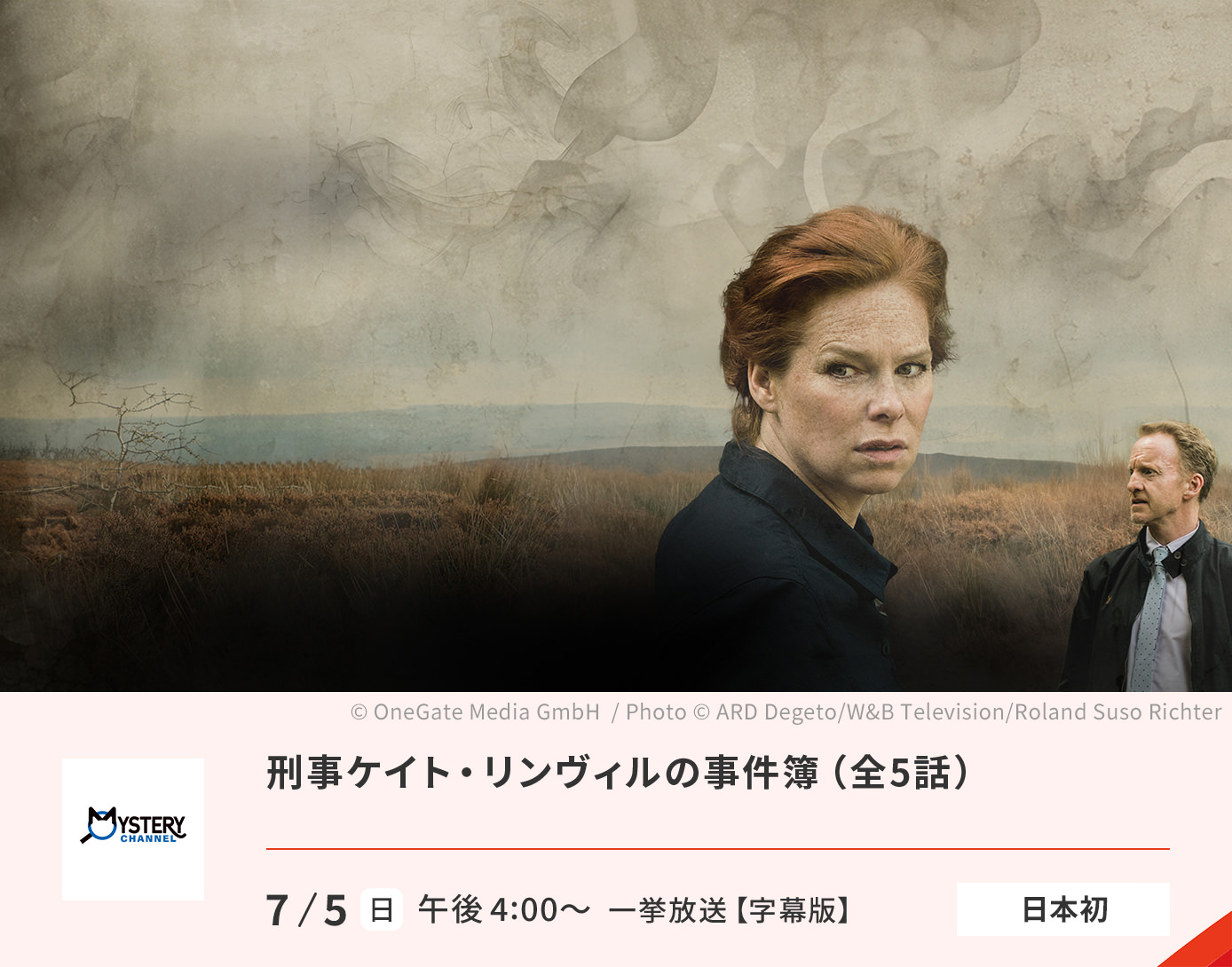 刑事ケイト・リンヴィルの事件簿（全5話）