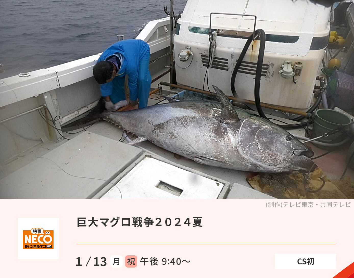 巨大マグロ戦争２０２４夏