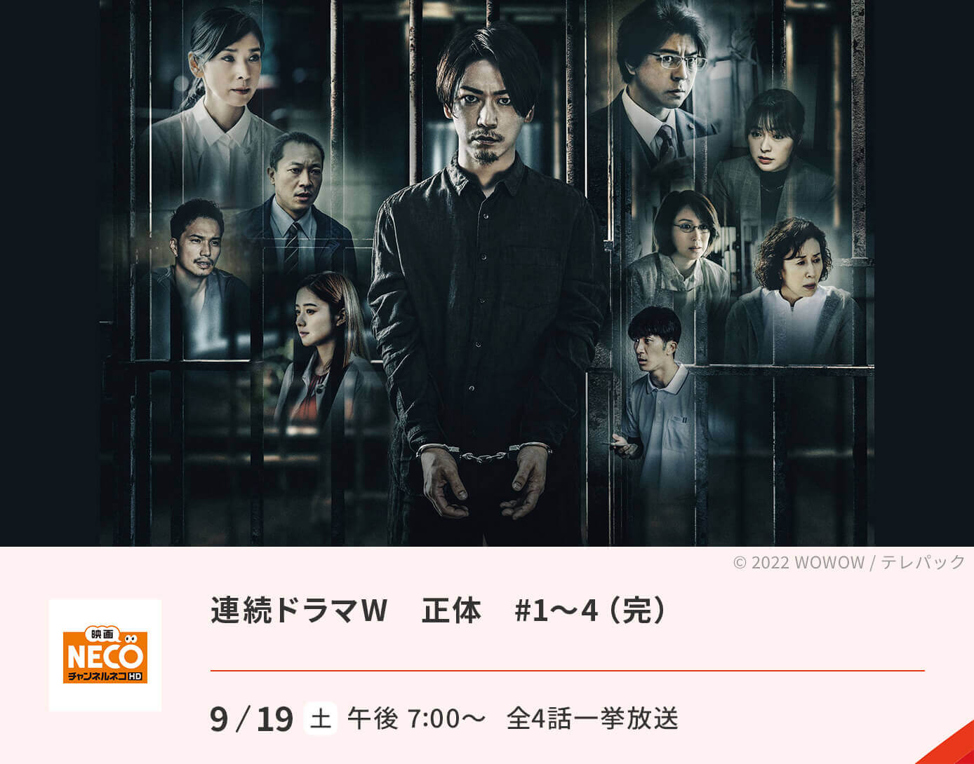 連続ドラマW　正体