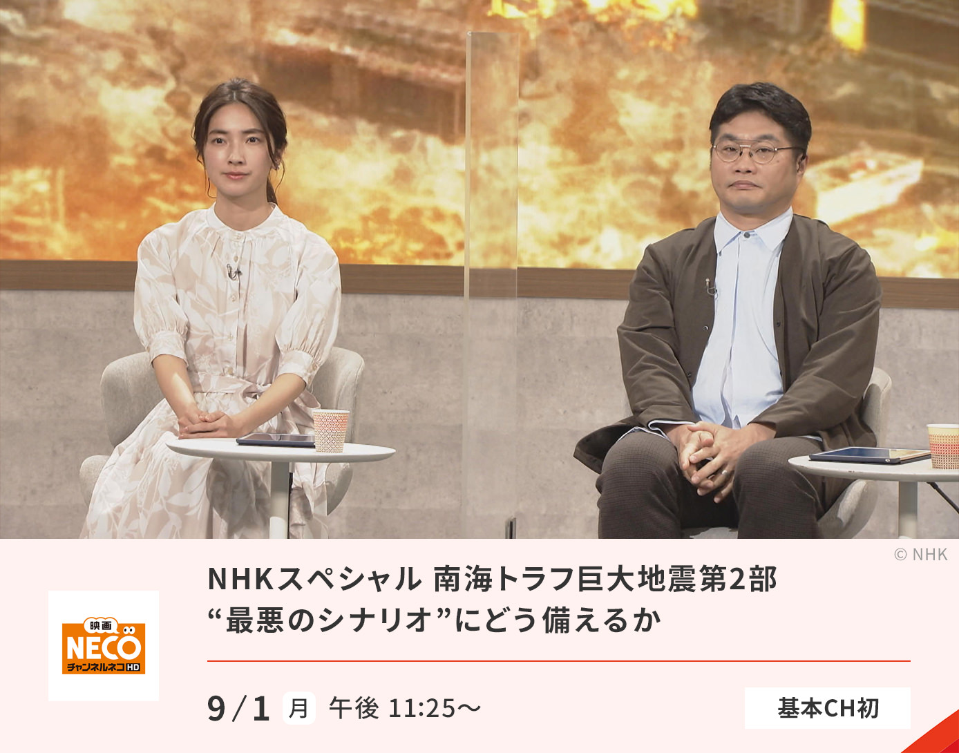 NHKスペシャル　南海トラフ巨大地震　第2部“最悪のシナリオ”にどう備えるか