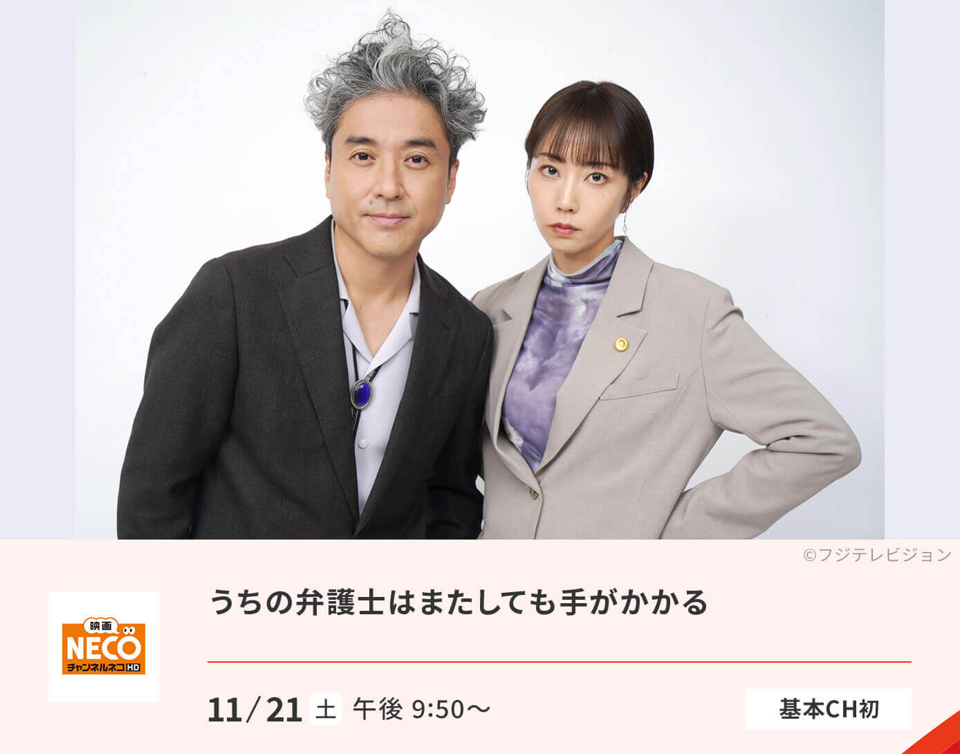 うちの弁護士はまたしても手がかかる