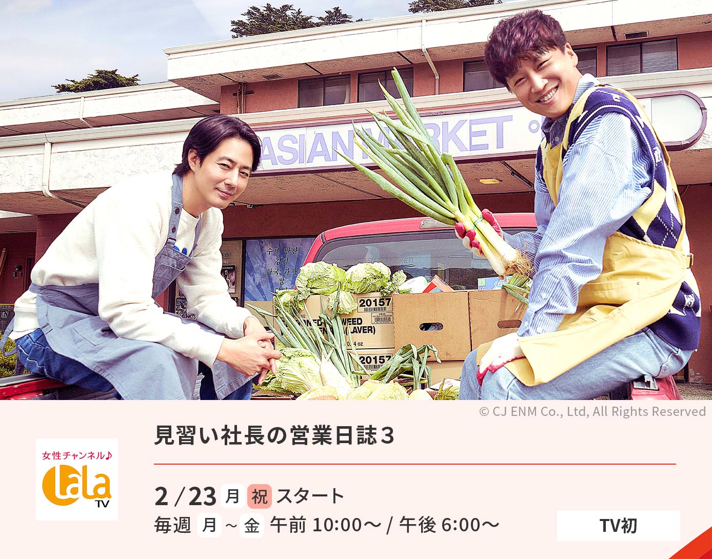 見習い社長の営業日誌３