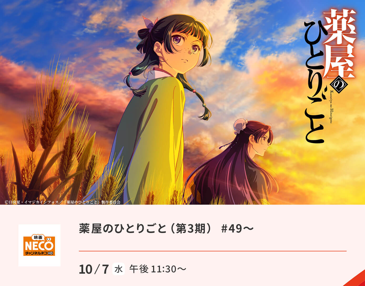 薬屋のひとりごと（第3期） #49～60