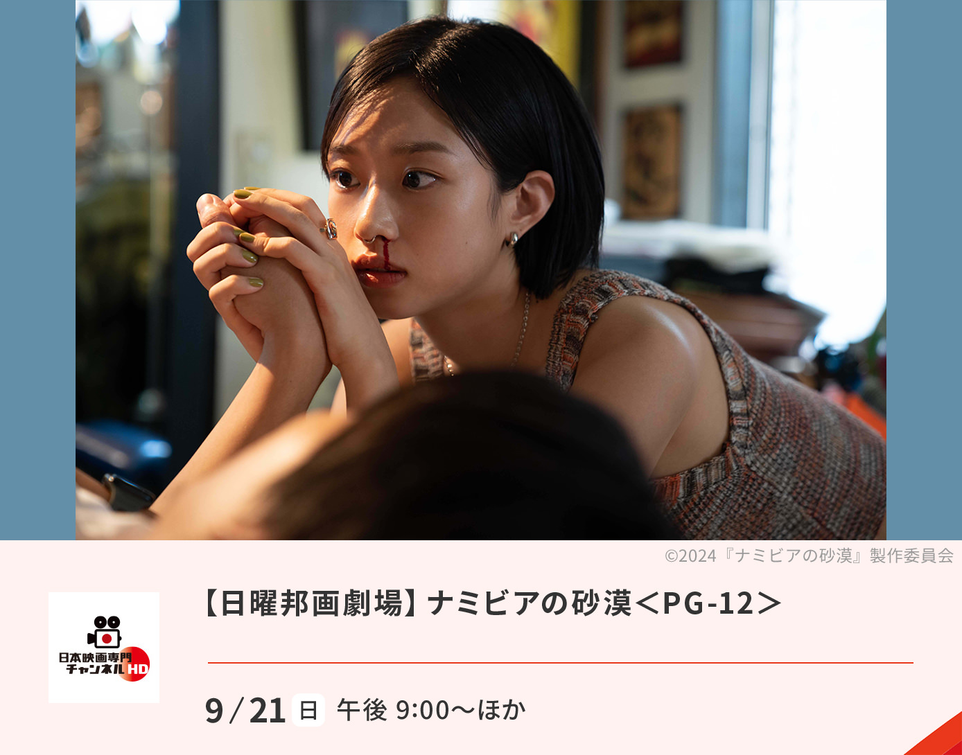 ナミビアの砂漠＜PG-12＞