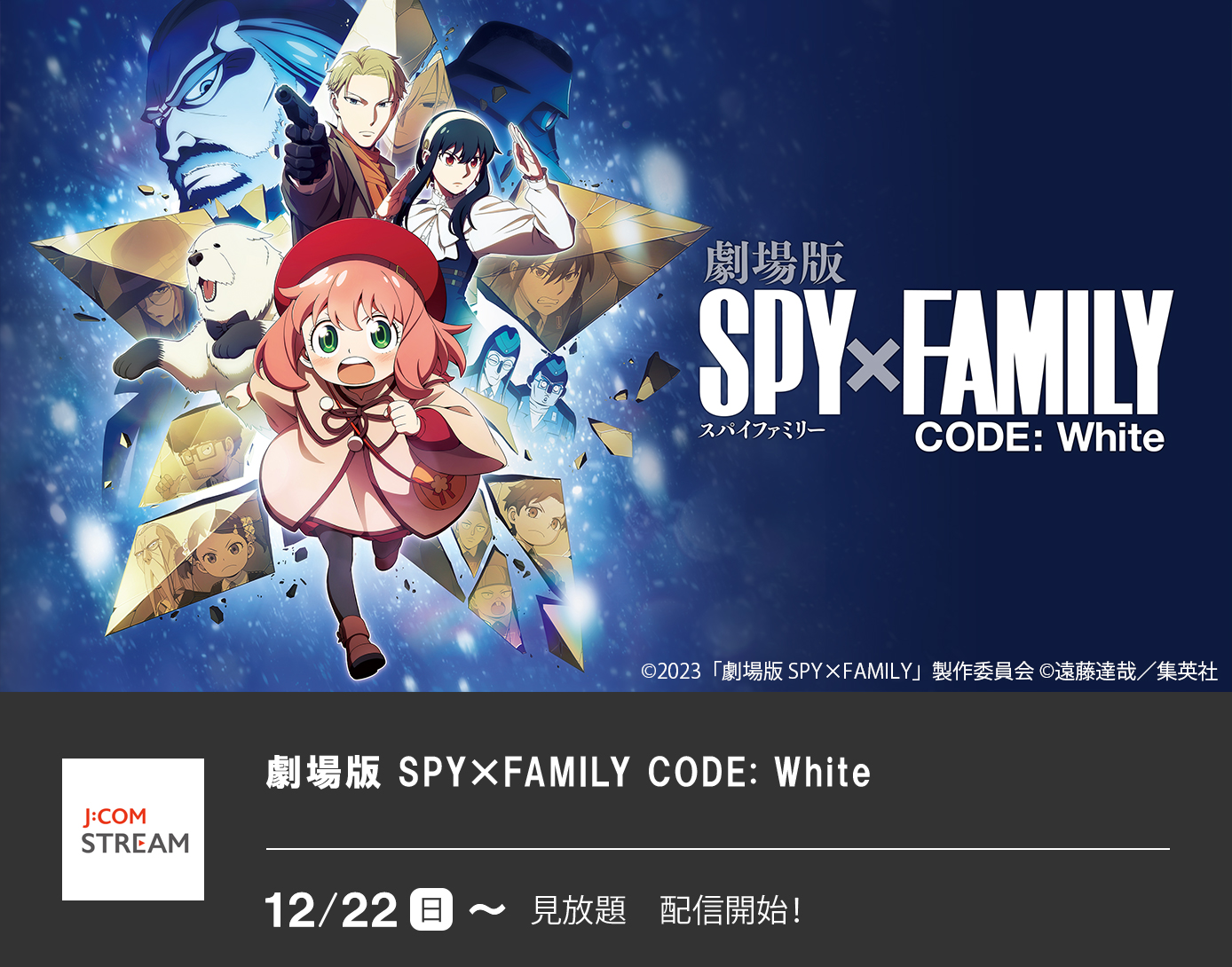 劇場版 SPY×FAMILY CODE： White