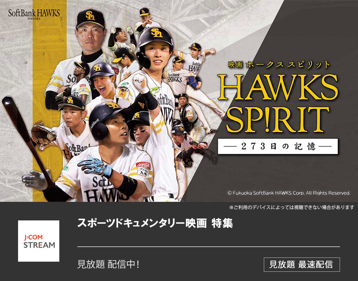 映画 HAWKS SP!RIT －273日の記憶－