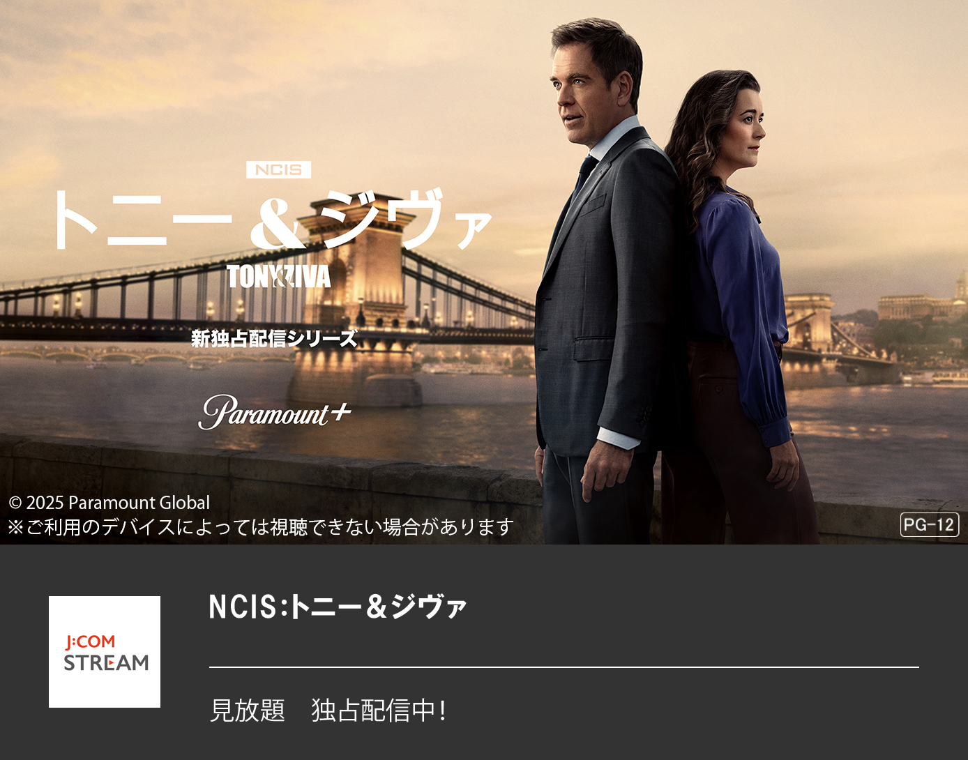 NCIS：トニー＆ジヴァ
