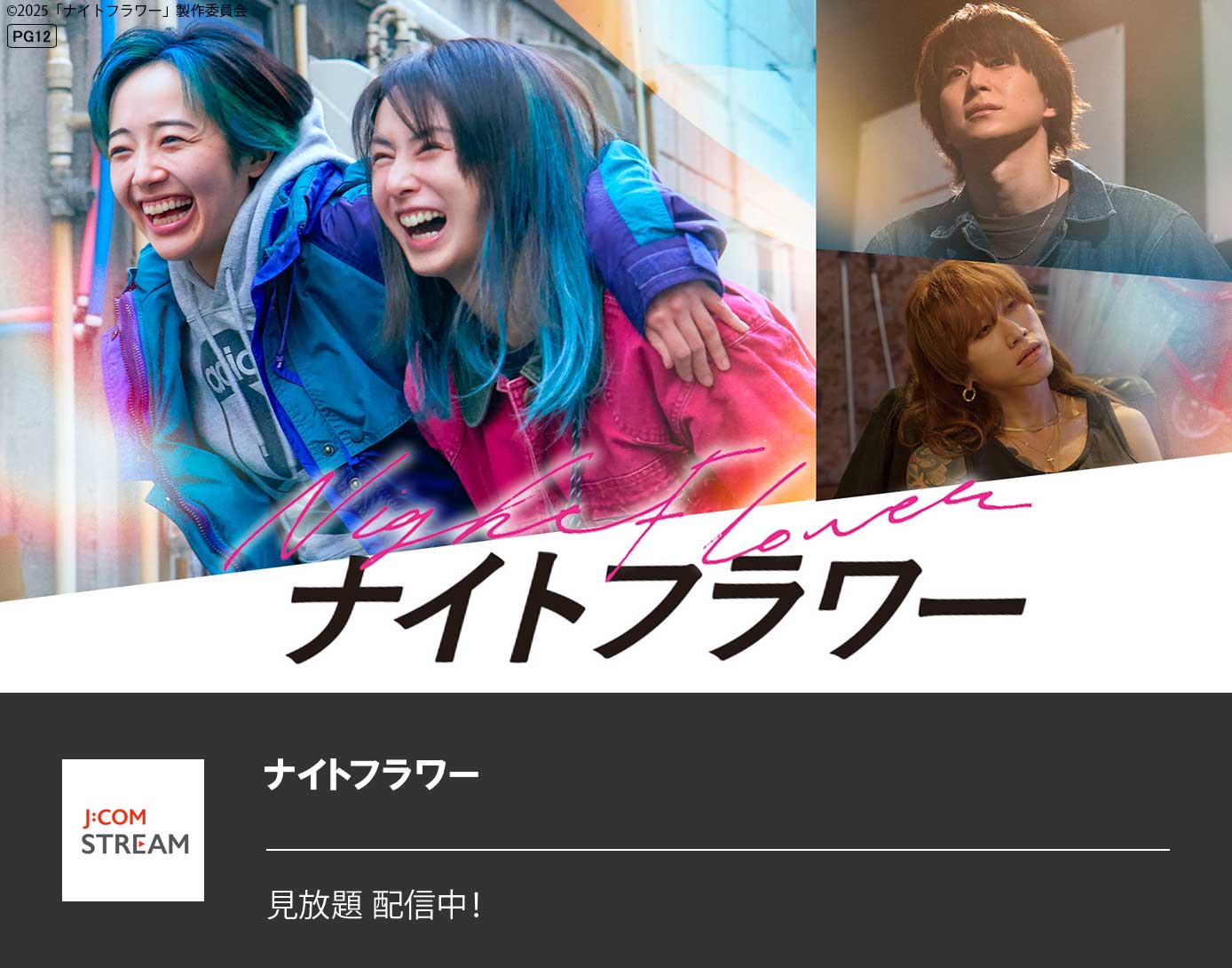 ナイトフラワー