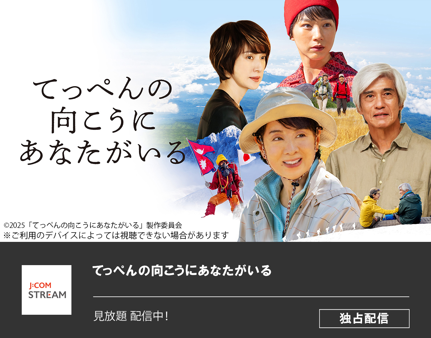 てっぺんの向こうにあなたがいる