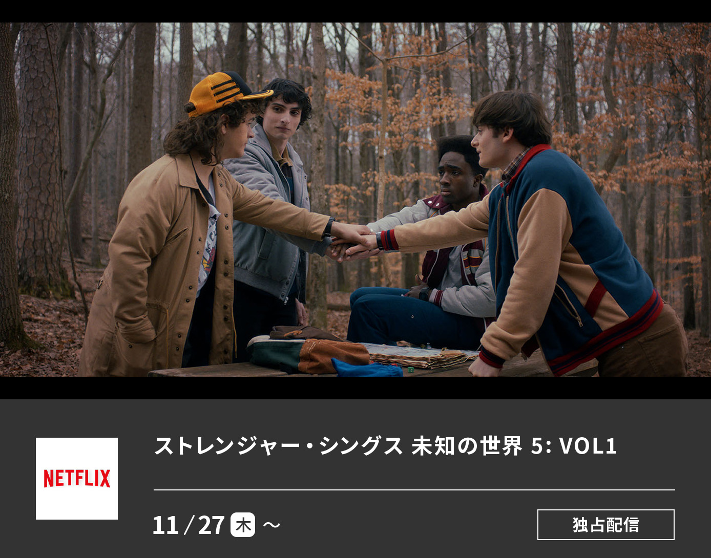 ストレンジャー・シングス 未知の世界 5: VOL1